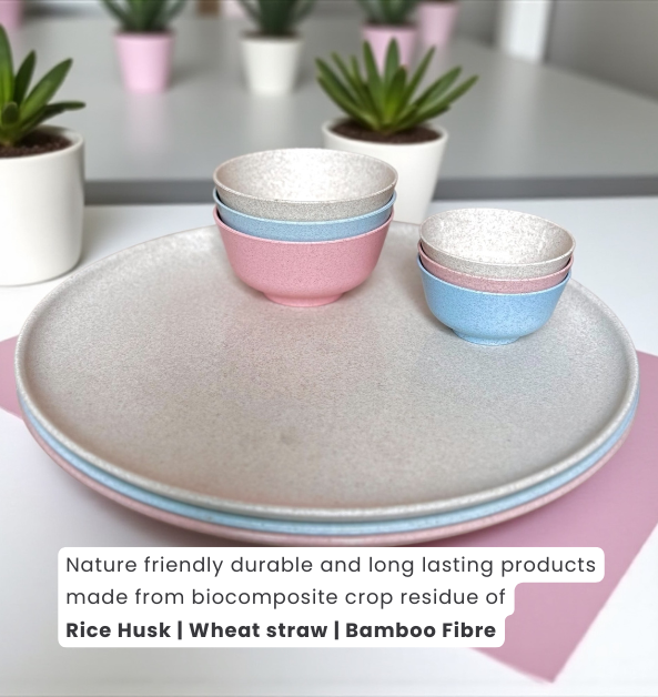 Pello 9 Piece Dinner Set | Multicolour